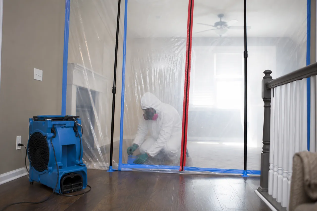 Mold Remediation service image